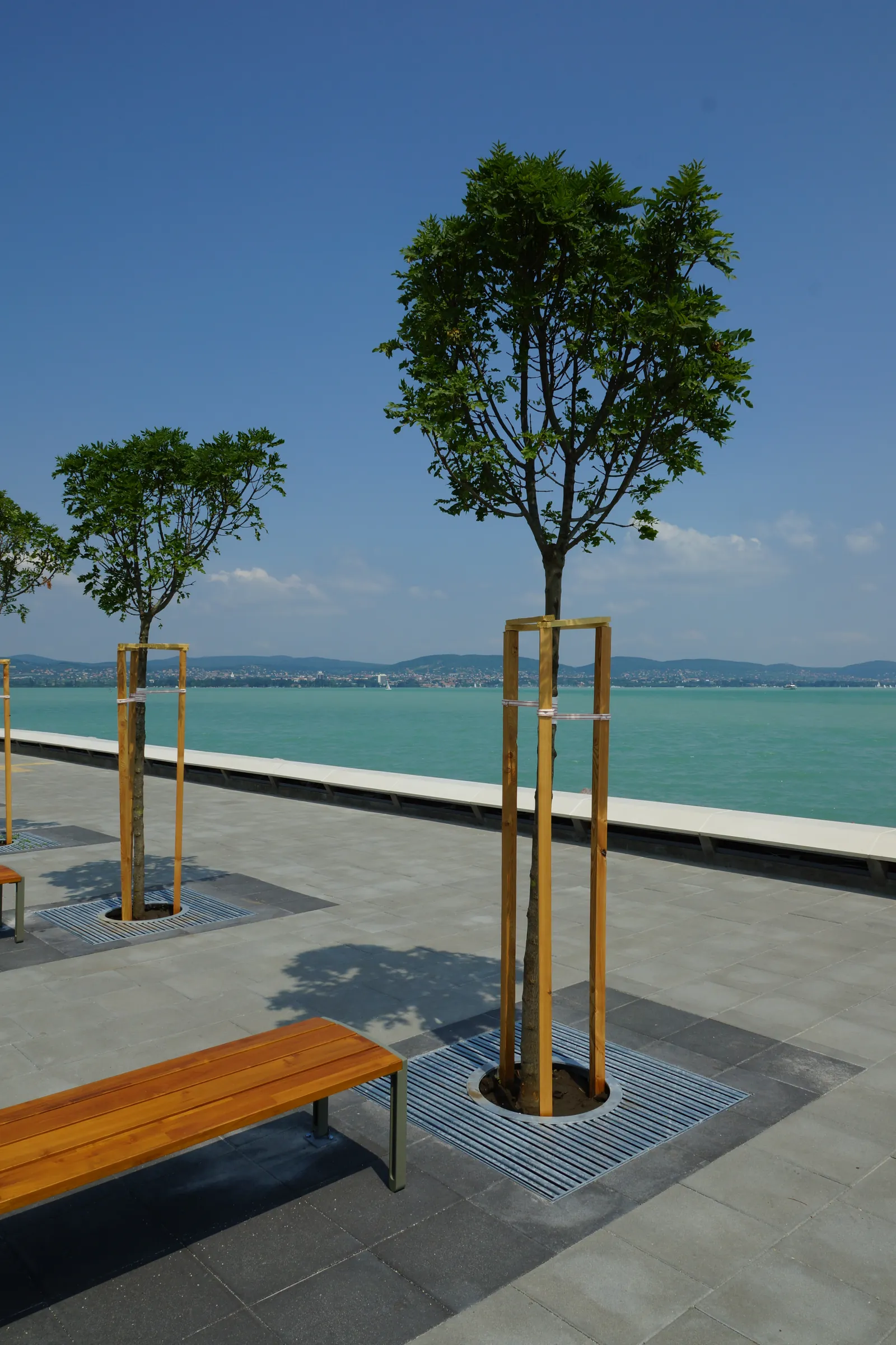 The renovated pier-head plaza with young native street trees, a wooden bench and paving, the far shore of Lake Balaton in the background