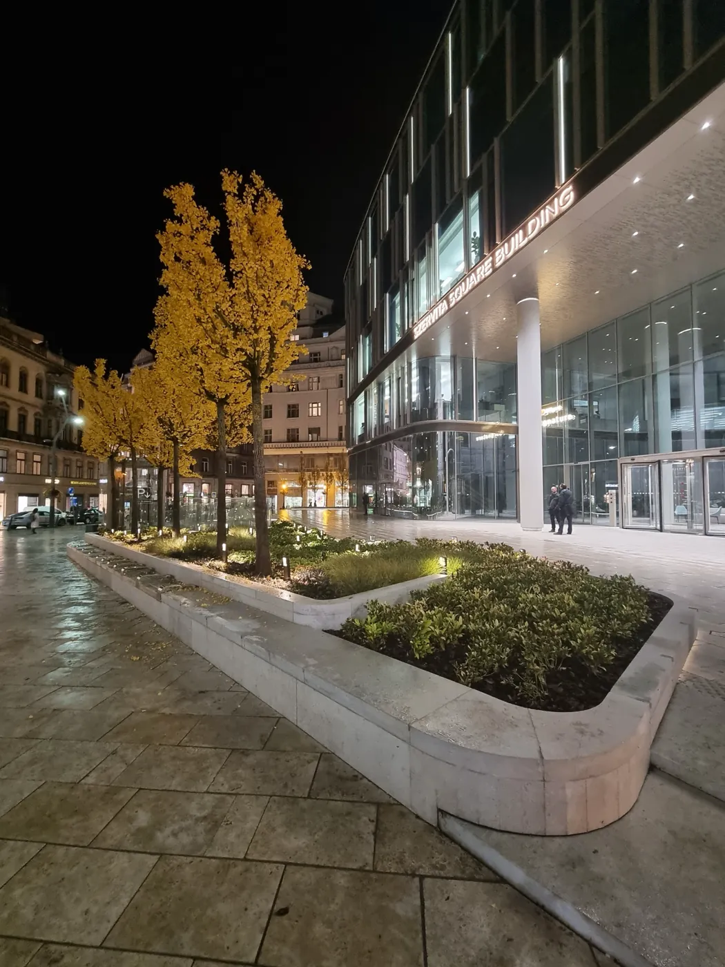 Megvilágított íves növénykazetta őszi páfrányfenyőkkel este a Szervita Square előtt